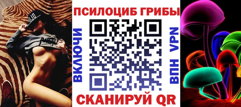 ссылка на мегу зеркало  Кыштым  Псилоцибиновые грибы Cubensis  где купить наркоту 