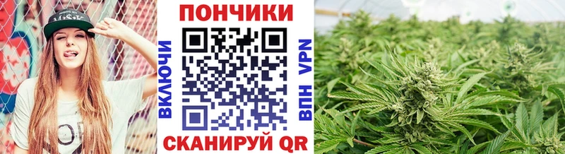 Канабис VHQ  купить закладку  Кыштым 